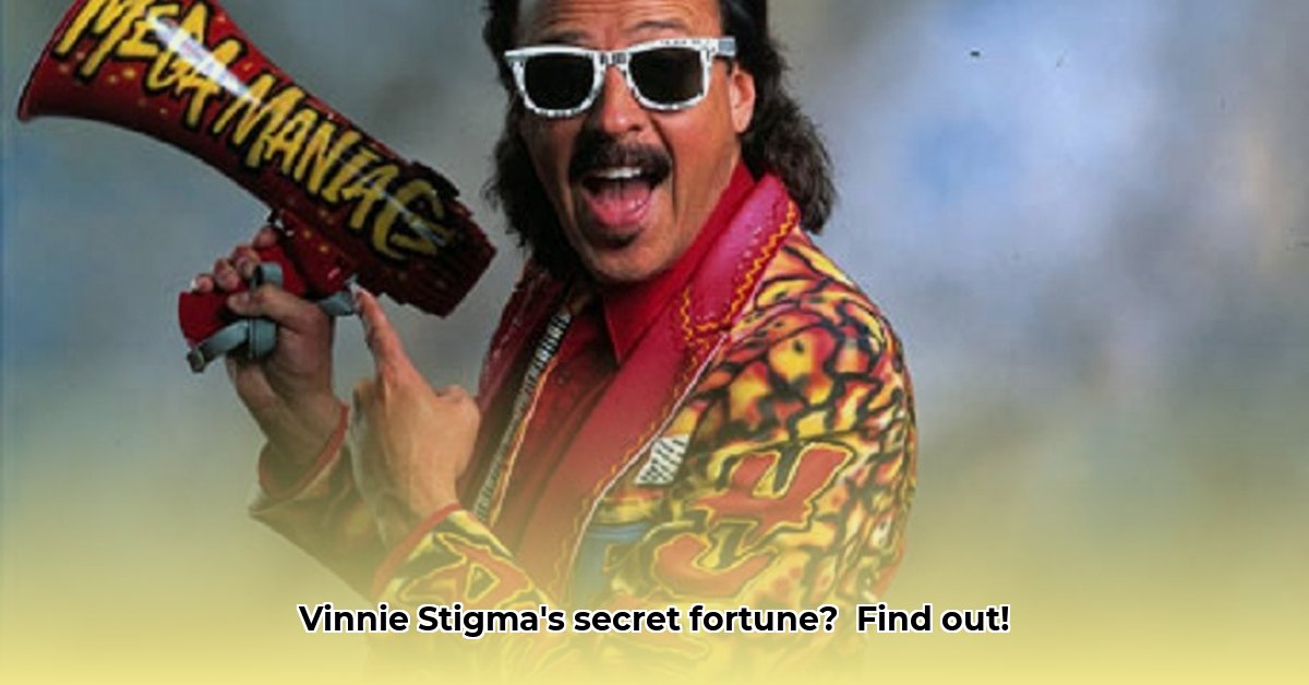 vinnie-stigma-net-worth